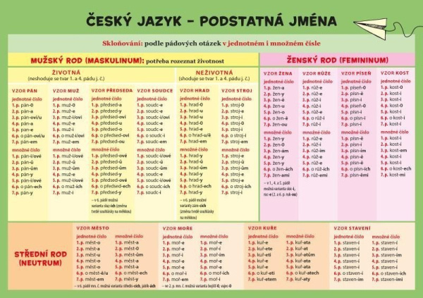Český jazyk – Podstatná jména - Zuzana Hladíková - kniha z kategorie Jazykové učebnice a slovníky