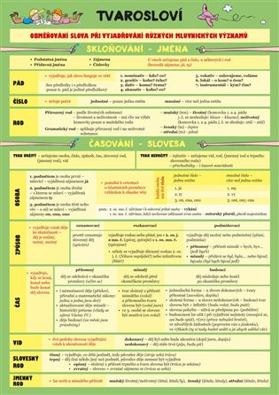 Český jazyk – Tvarosloví Euromedia Group, a.s.