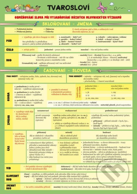 Český jazyk – Tvarosloví Euromedia Group, a.s.