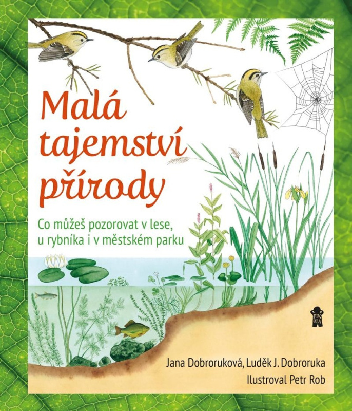 Malá tajemství přírody: Co můžeš pozorovat v lese, u rybníka i v městském parku Euromedia Group, a.s.