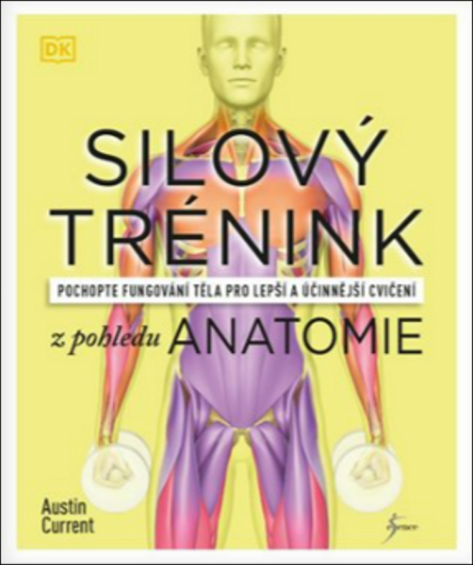 Silový trénink z pohledu anatomie