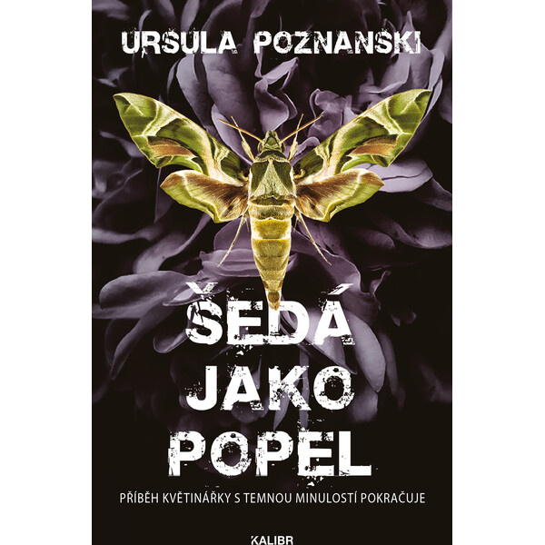 Šedá jako popel
