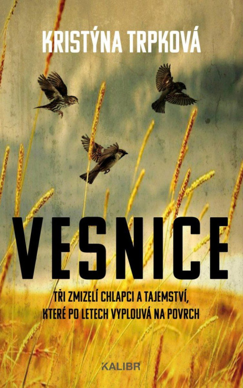 Vesnice Euromedia Group, a.s.