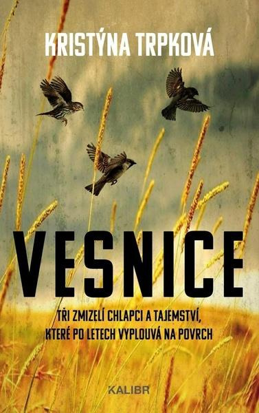 Vesnice Euromedia Group, a.s.
