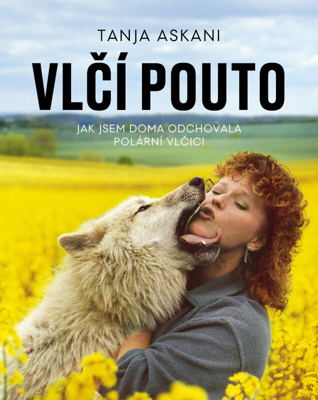 Vlčí pouto