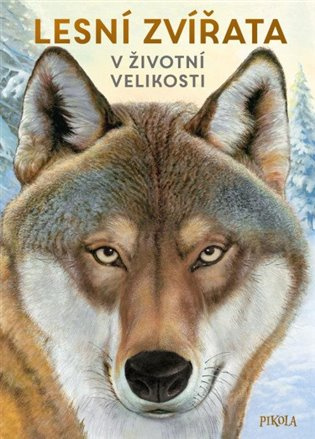 Lesní zvířata: V životní velikosti Euromedia Group, a.s.