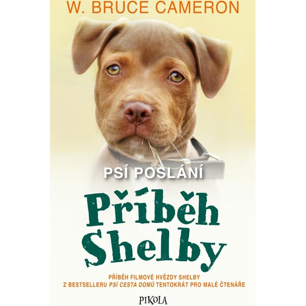 Psí poslání: Příběh Shelby