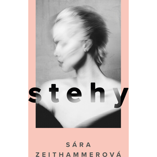 Stehy