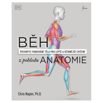 Běh z pohledu anatomie - Správná technika, prevence před zraněním, nastavení tréninku