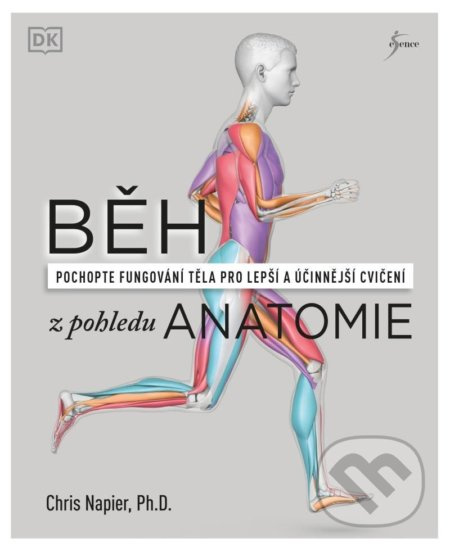 Běh z pohledu anatomie - Správná technika, prevence před zraněním, nastavení tréninku
