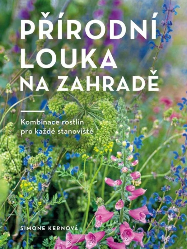 Přírodní louka na zahradě Euromedia Group, a.s.