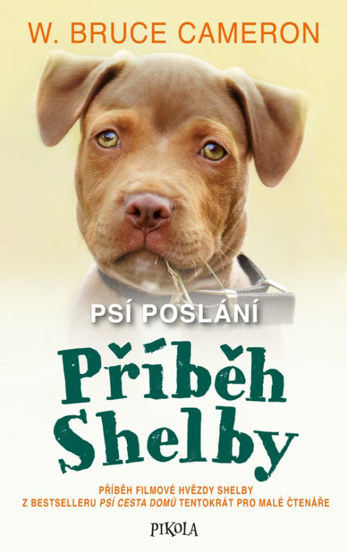 Příběh Shelby : příběh filmové hvězdy Shelby z bestselleru Psí cesta domů tentokrát pro malé čtenáře