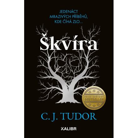 Škvíra Euromedia Group, a.s.