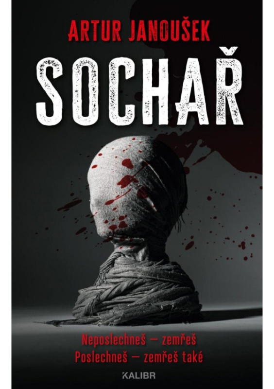 Sochař Euromedia Group, a.s.