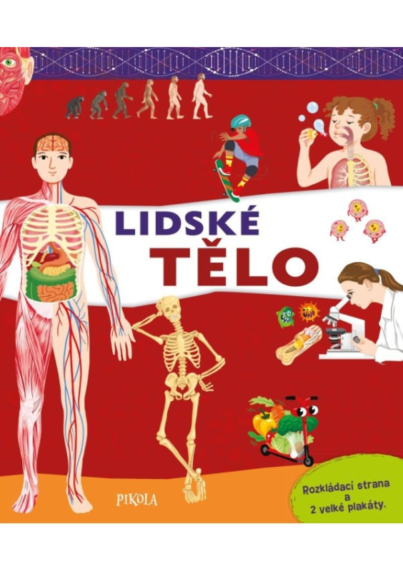 Lidské tělo Euromedia Group, a.s.