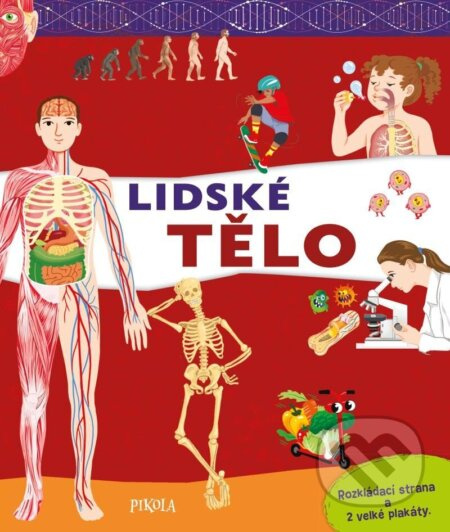 Lidské tělo Euromedia Group, a.s.