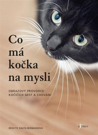 Co má kočka na mysli Euromedia Group, a.s.