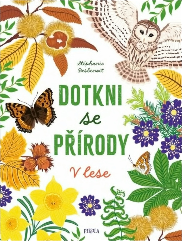 Ponořte se do přírody: V lese