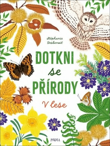Ponořte se do přírody: V lese