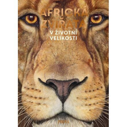 Africká zvířata: V životní velikosti Euromedia Group, a.s.