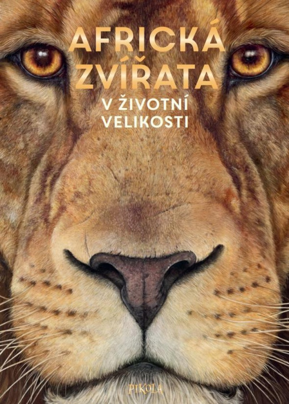 Africká zvířata: V životní velikosti Euromedia Group, a.s.