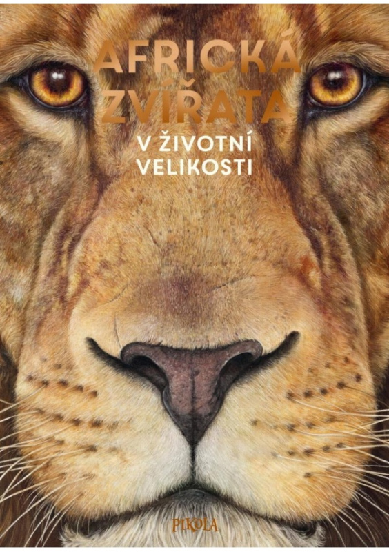 Africká zvířata: V životní velikosti Euromedia Group, a.s.