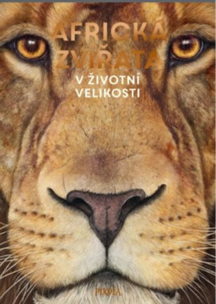 Africká zvířata: V životní velikosti Euromedia Group, a.s.