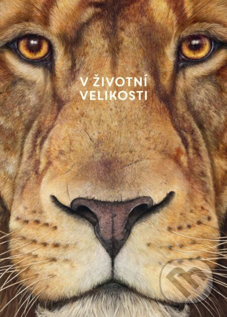 Africká zvířata: V životní velikosti Euromedia Group, a.s.
