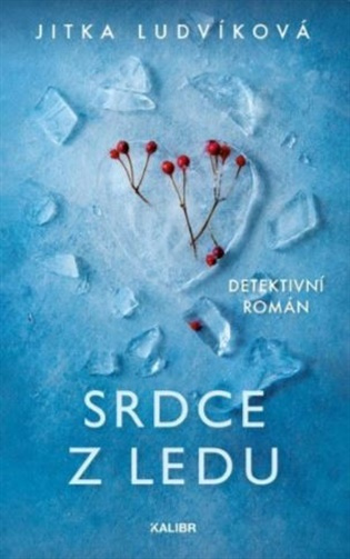 Srdce z ledu Euromedia Group, a.s.
