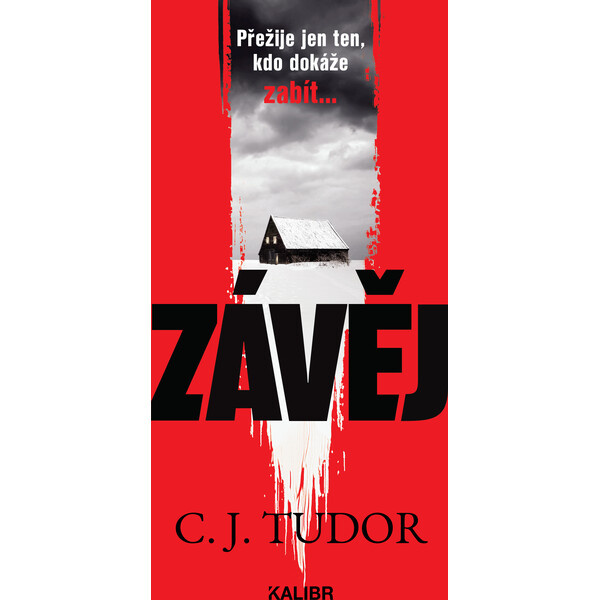Závěj