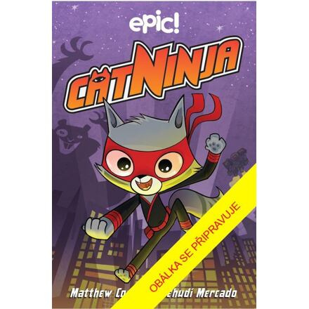 Cat Ninja 1