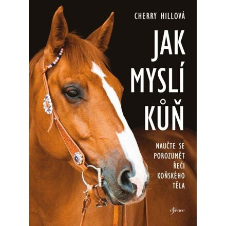 Jak myslí kůň