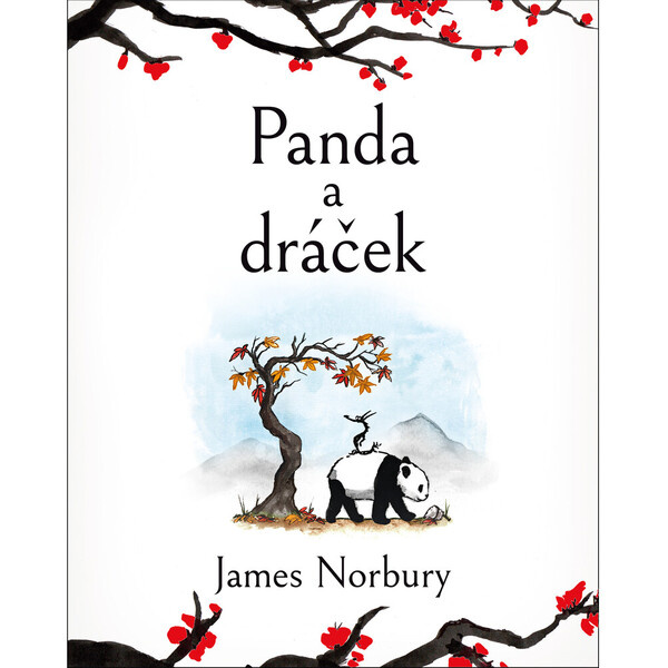 Panda a dráček