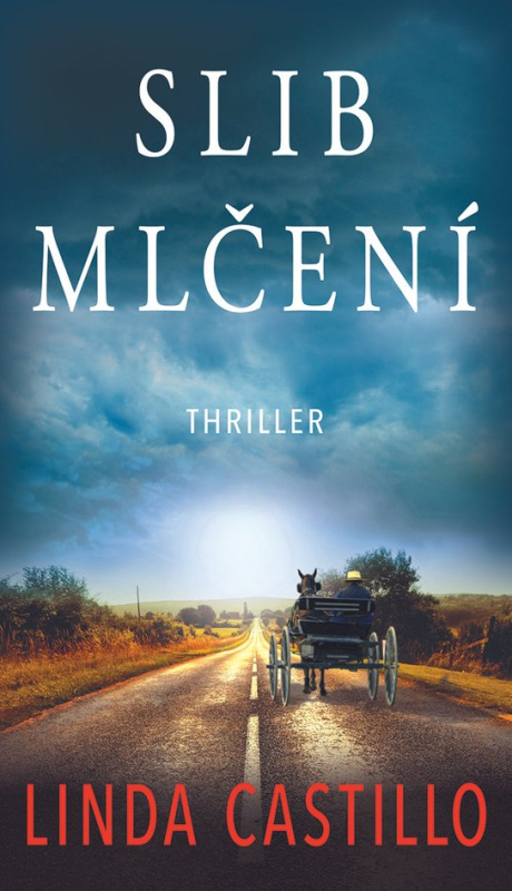 Slib mlčení - Linda Castillo