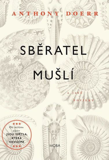Sběratel mušlí - Anthony Doerr