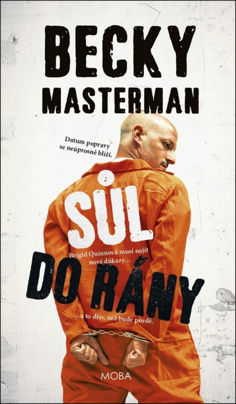 Sůl do rány - Becky Masterman - kniha z kategorie Detektivky, thrillery a horory