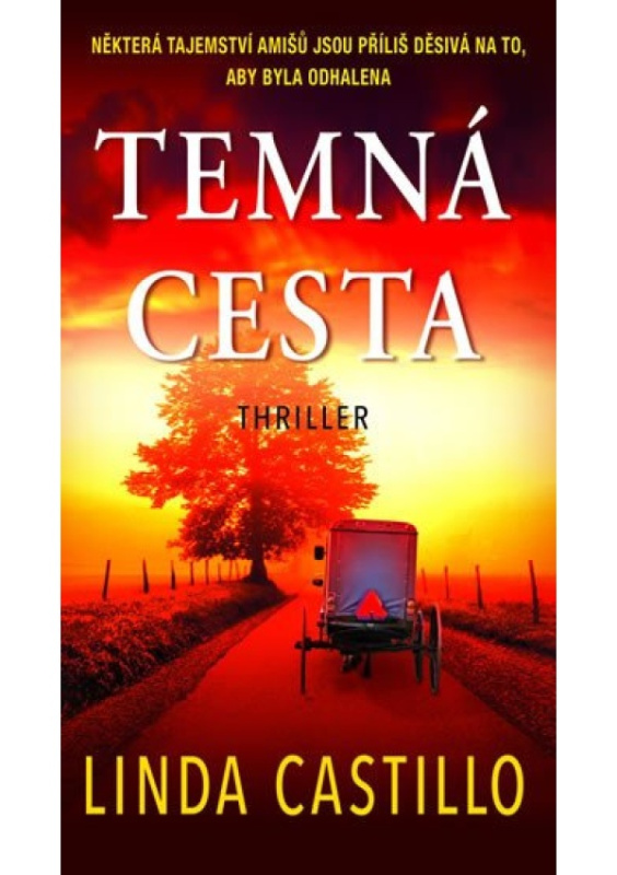 Temná cesta - Linda Castillo
