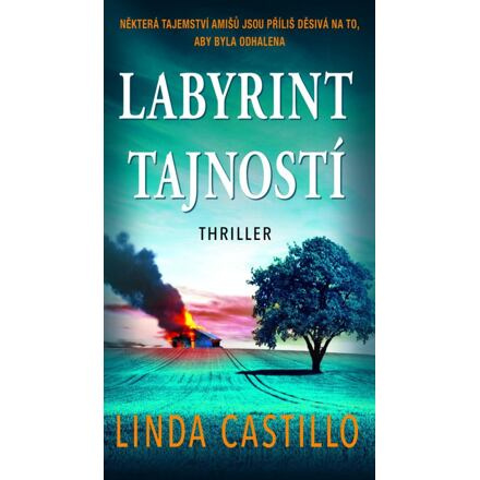 Labyrint tajností - Linda Castillo