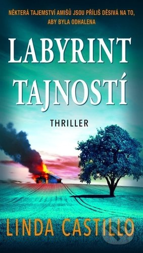 Labyrint tajností - Linda Castillo