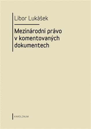 Visegrádská skupina a její vývoj v letech 1991-2004 - Libor Lukášek