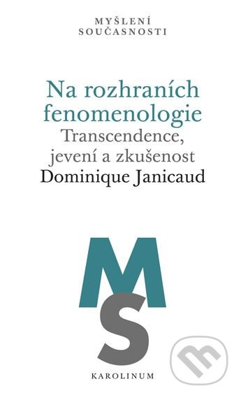 Na rozhraních fenomenologie - Dominique Janicaud