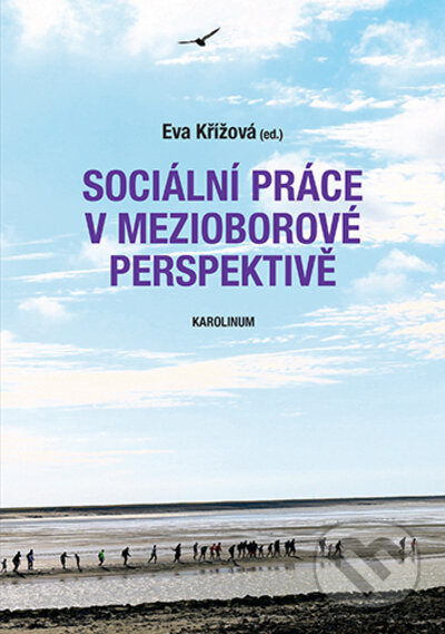 Sociální práce v mezioborové perspektivě - Eva Křížová - kniha z kategorie Sociální práce