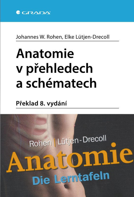 E-kniha: Anatomie v přehledech a schématech od Rohen W. Johannes