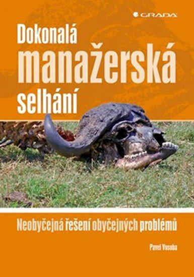 Dokonalá manažerská selhání (Neobyčejná řešení obyčejných problémů) - kniha z kategorie Management