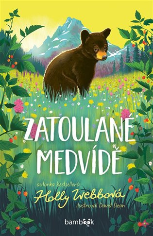 Zatoulané medvídě - David Dean, Holly Webb - kniha z kategorie Pohádky