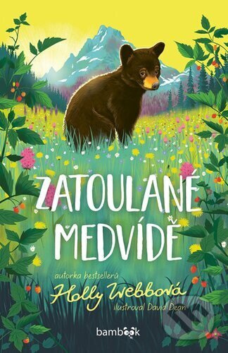 Zatoulané medvídě - David Dean, Holly Webb - kniha z kategorie Pohádky