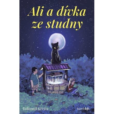 Ali a dívka ze studny - Bohumil Krejza