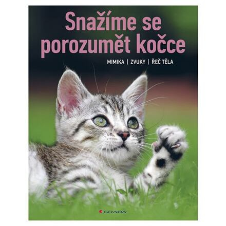 Snažíme se porozumět kočce - Brigitte Rauth–Widmann