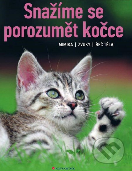 Snažíme se porozumět kočce - Brigitte Rauth–Widmann