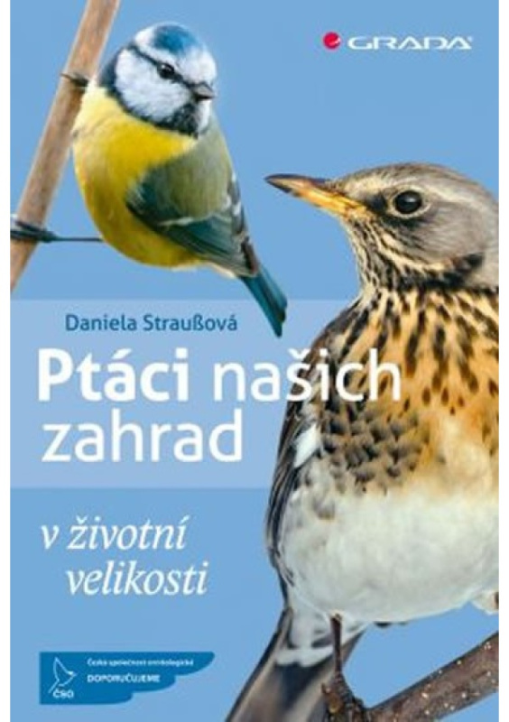 Ptáci našich zahrad - Daniela Straußová